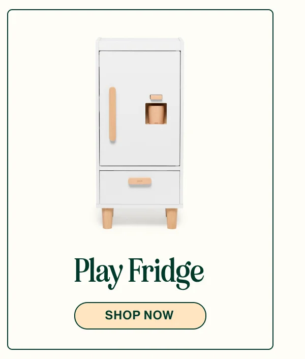Play Fridge