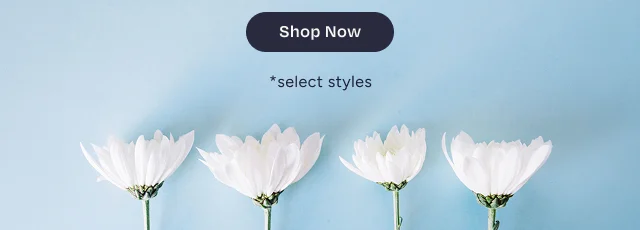Shop Now Button - Image