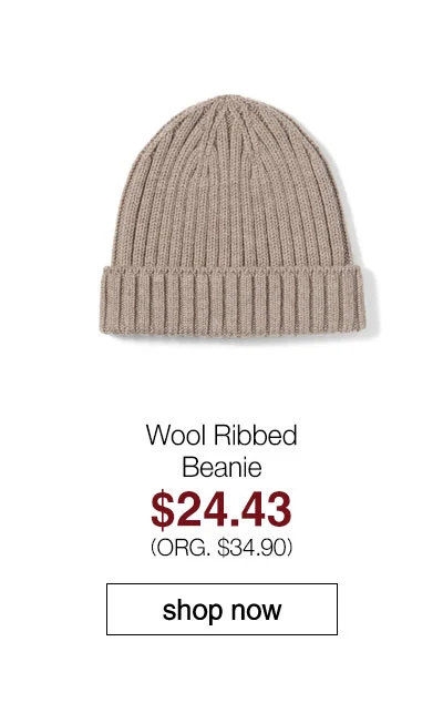 Shop Wool Ribbed Beanie