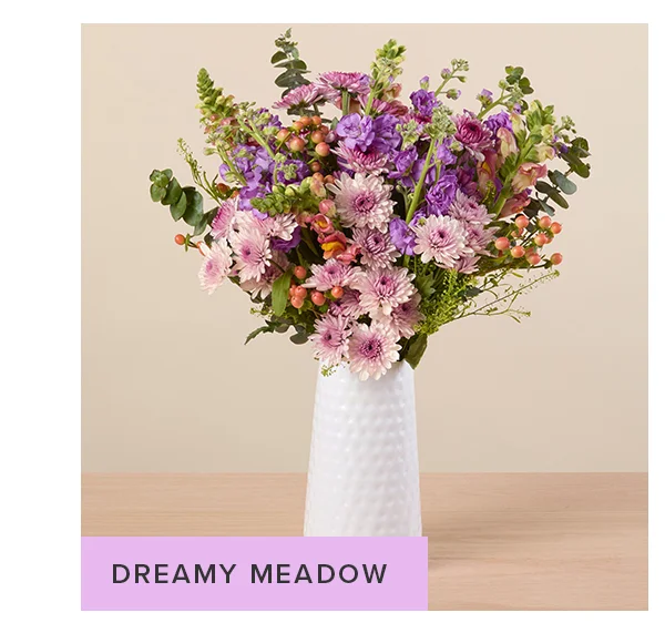 DREAMY MEADOW