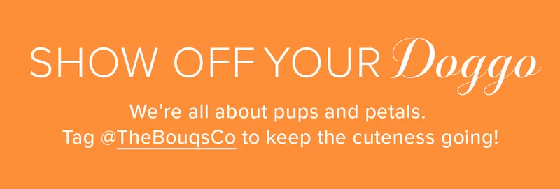 Show Off Your Doggo! We're all about pups and petals. Tag&nbsp;@TheBouqsCo to keep the cuteness going!