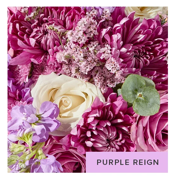 PURPLE REIGN