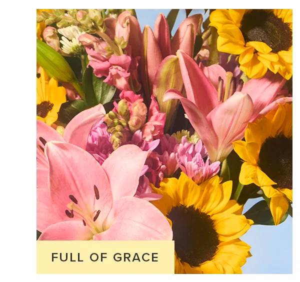 FULL OF GRACE