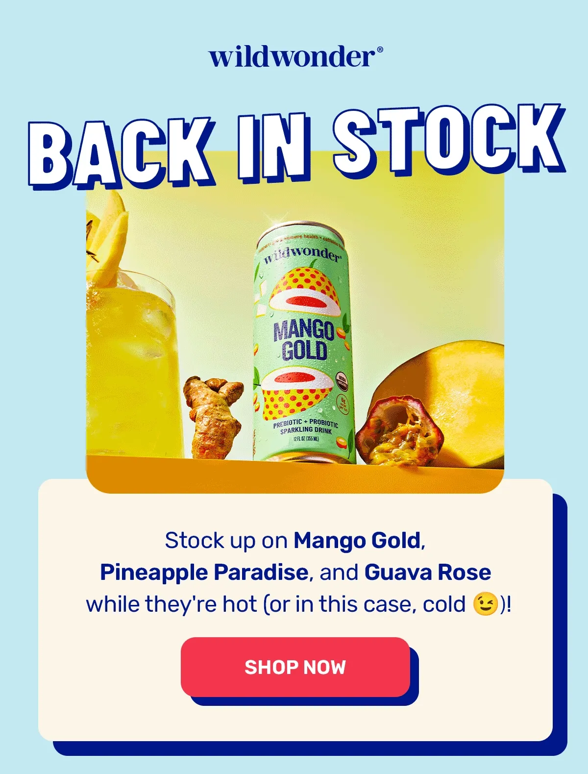 Back In Stock