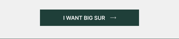 I Want Big Sur