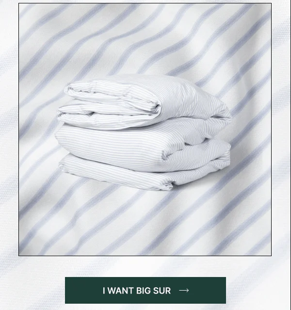 I Want Big Sur