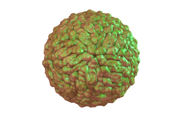 A computer illustration of human pegivirus