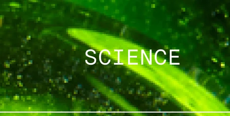 SCIENCE