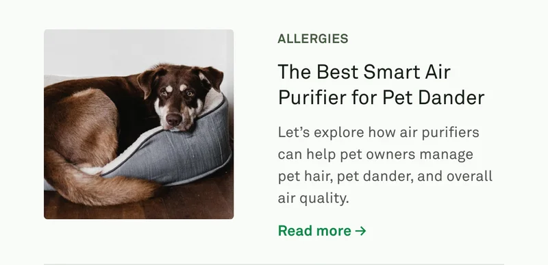 The Best Smart Air Purifier for Pet Dander