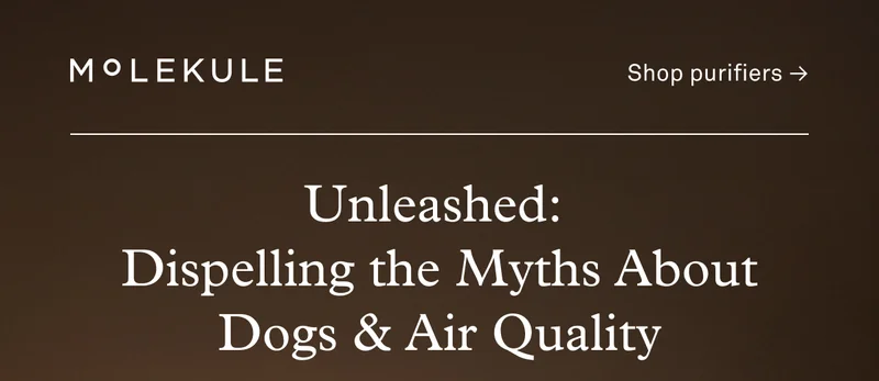 Unleashed Dispelling the Myths About Dogs & Air Quality