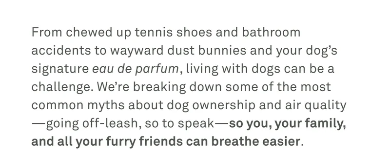 We're breaking down some of the most common myths about dog ownership and air quality