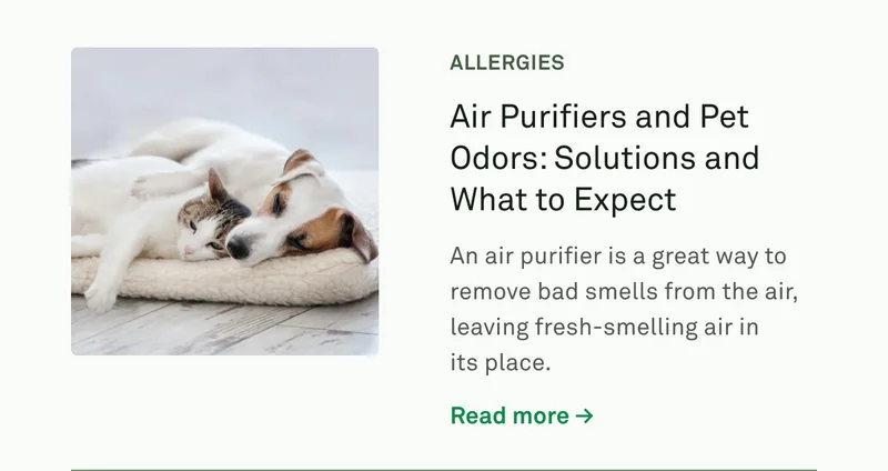 Air Purifiers and Pet Odors: Solutions and What to Expect