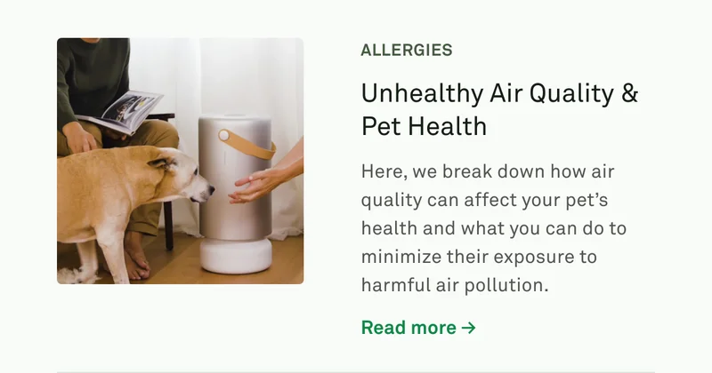 Unhealthy Air Quality & Pet Health