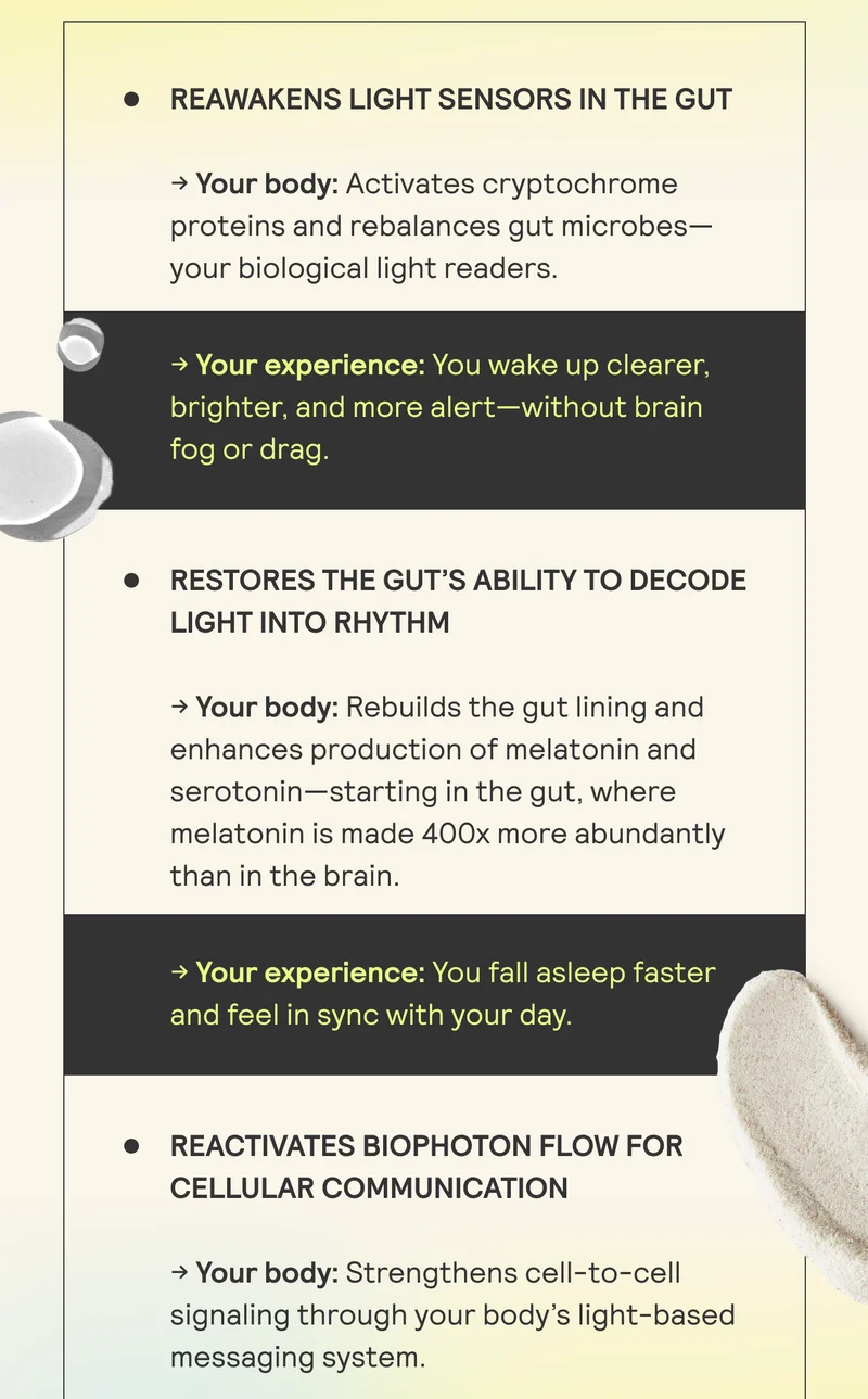 Reawakens Light Sensors in the Gut. Restores the gut's ability to decode light into rhythm. Reactivates biophoton flow or cellular communication