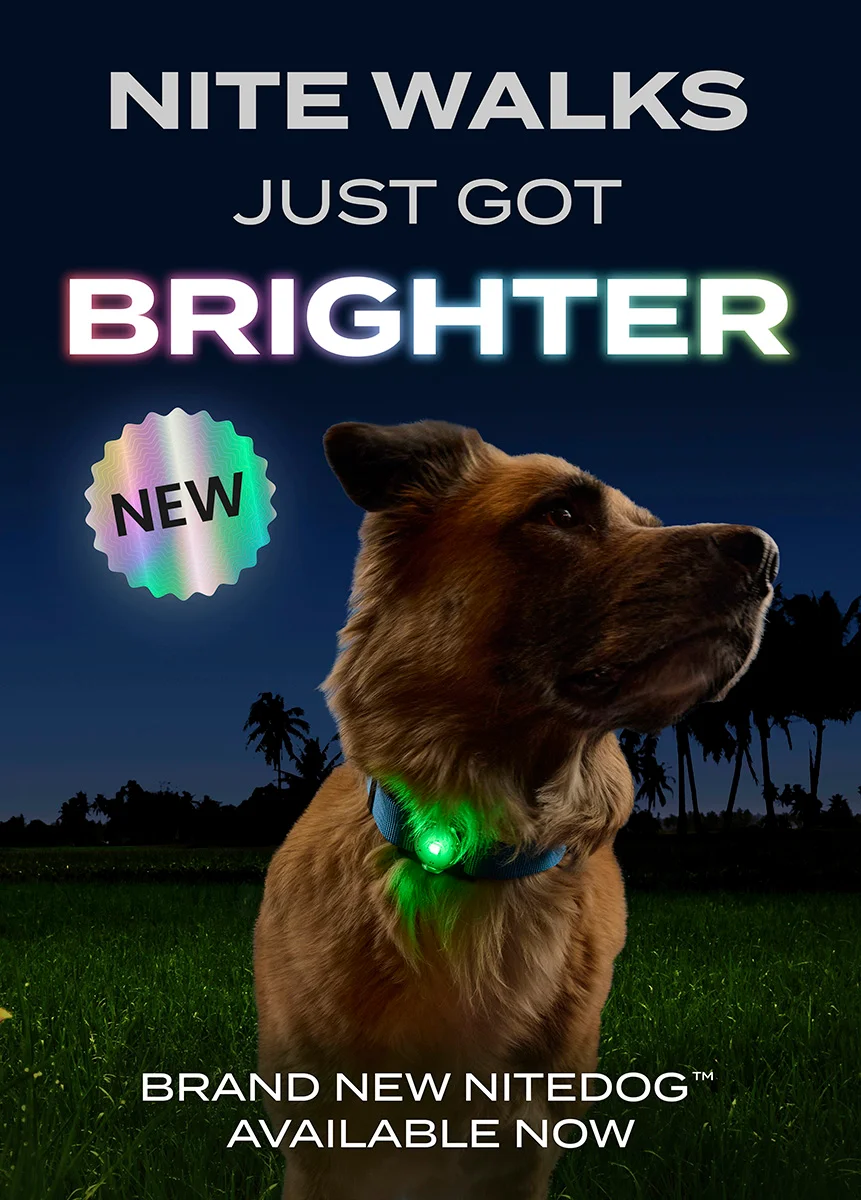 Night walks just got brighter | Brand new NiteDog™ available now