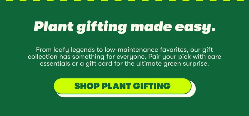 shop plant gifting