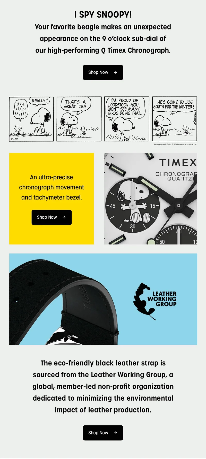 Q Timex Chronograph x Peanuts Snoopy 40mm Leather Strap Watch