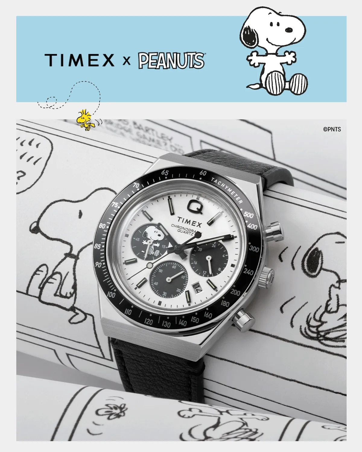 Q Timex Chronograph x Peanuts Snoopy 40mm Leather Strap Watch