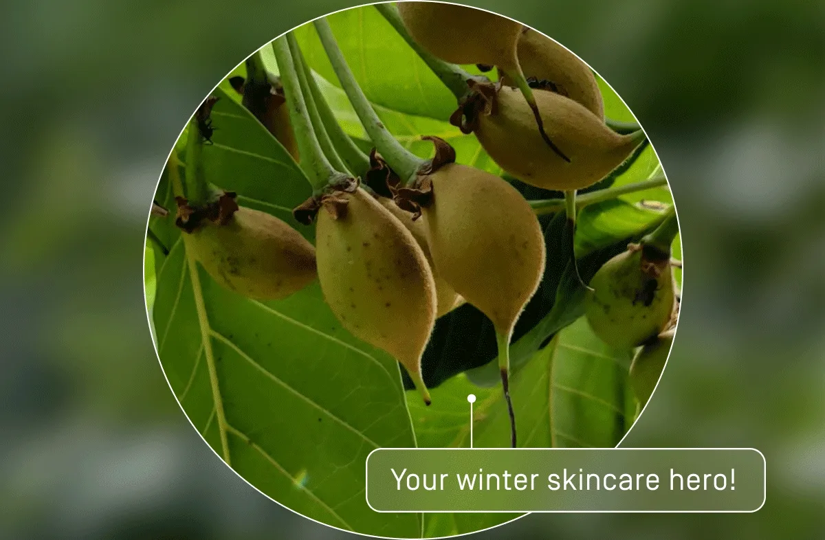 Your winter skincare hero!