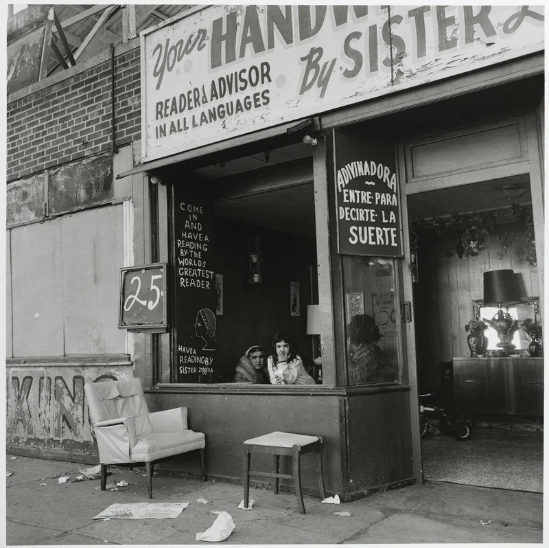 “Coney Island” by Stephen Salmieri