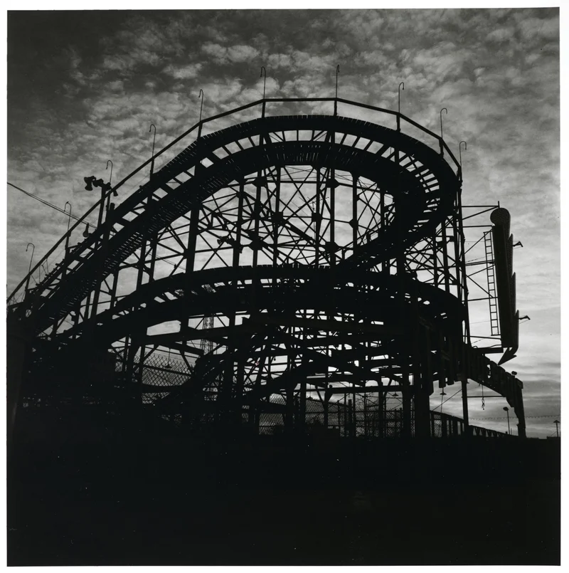 “Coney Island” by Stephen Salmieri