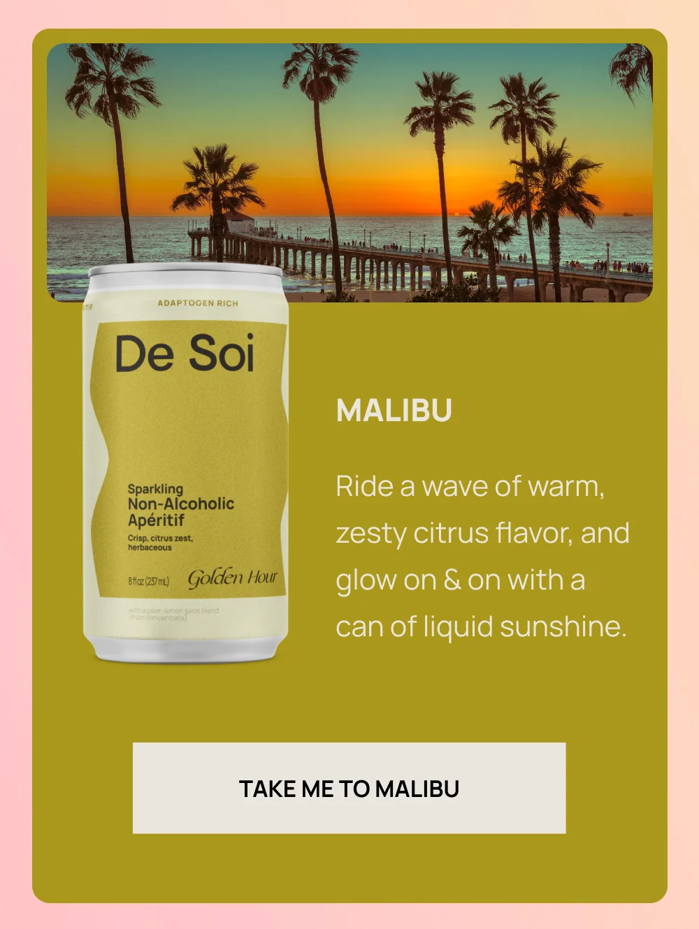TAKE ME TO MALIBU