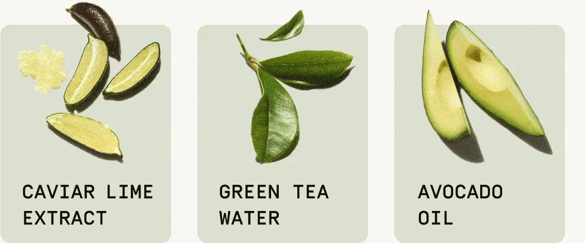 Avocado Oil | Green Tea Water | Aloe Vera