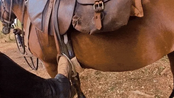 A point of view video of photographer Nichole Sobecki mounting a horse cutting to another shot of the horse galloping