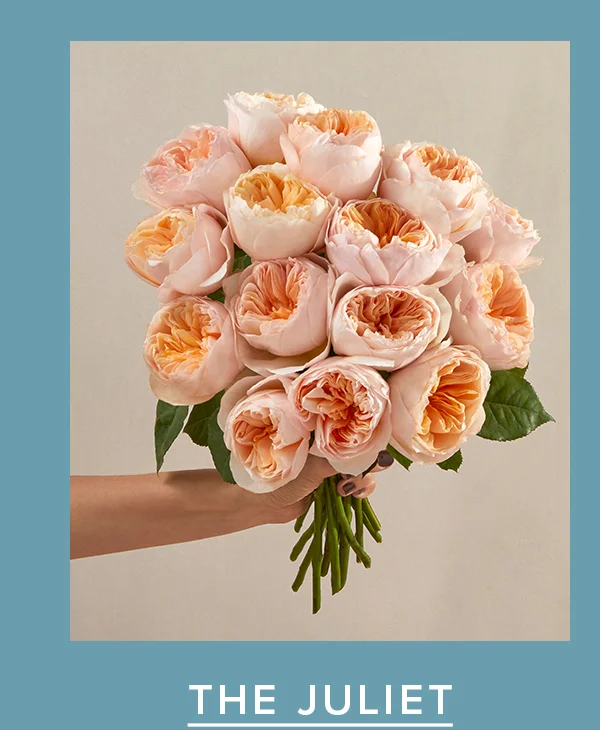 THE JULIET BOUQ