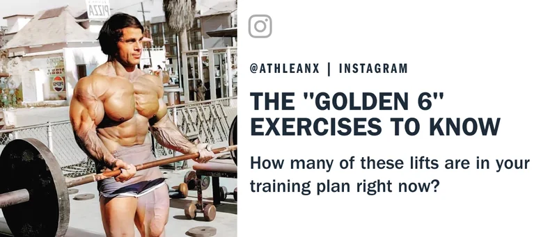 the golden 6 exercises