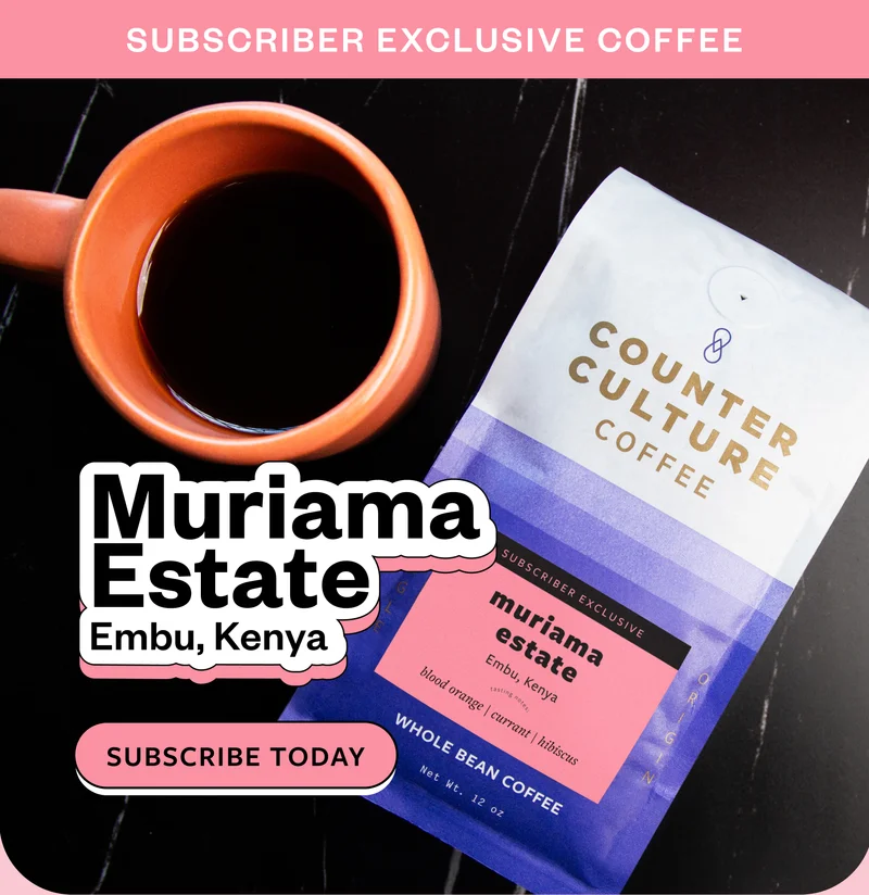 Subscriber Exclusive Coffee Muriama estate Embu, Kenya