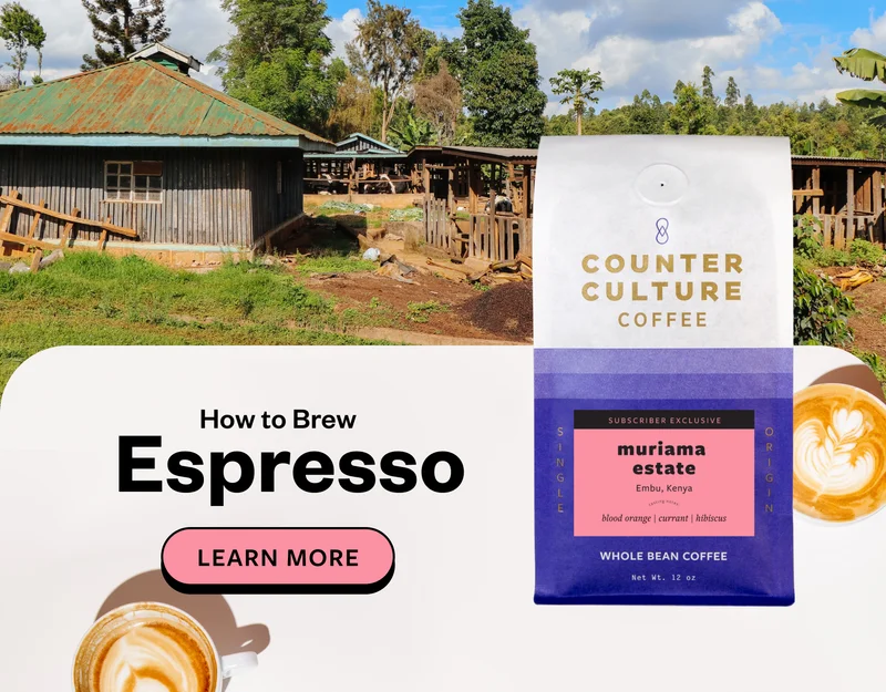 Learn how to brew Espresso