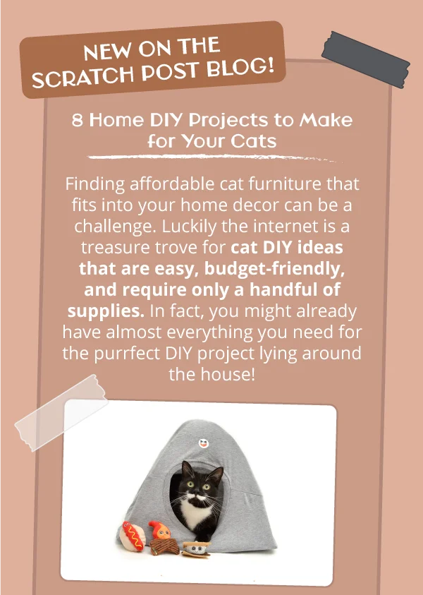 **New on the Scratch Post blog!**  **8 Home DIY Projects to Make for Your Cats**  Finding affordable cat furniture that fits into your home decor can be a challenge. Luckily the internet is a treasure trove for cat DIY ideas that are easy, budget-friendly, and require only a handful of supplies. In fact, you might already have almost everything you need for the purrfect DIY project lying around the house! Image of a black and white cat in a grey tent with toys outside.