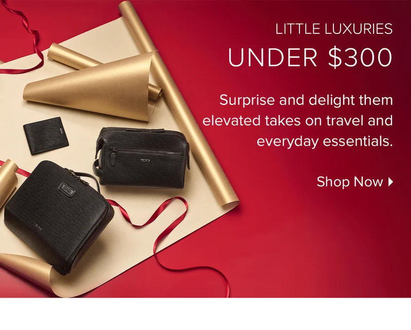 Gifts Under $300