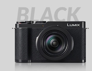Panasonic LUMIX L10 Digital Camera, Black