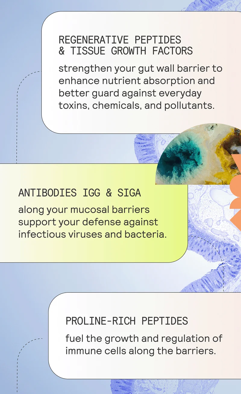 REGENERATIVE PEPTIDES & TISSUE GROWTH FACTORS. strengthen your gut wall barrier to enhance nutrient absorption and better guard against everyday toxins, chemicals, and pollutants. ANTIBODIES IgG & SigA. along your mucosal barriers support your defense against infectious viruses and bacteria. PROLINE-RICH PEPTIDES. fuel the growth and regulation of immune cells along the barriers.