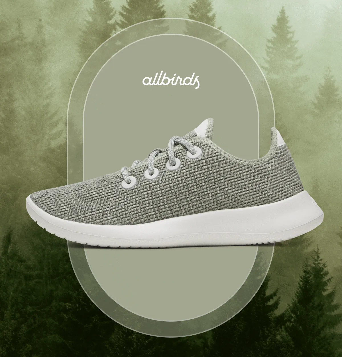 Hazy Pine Collection