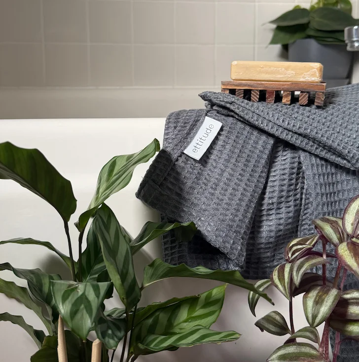 humidity loving plants around bathtub