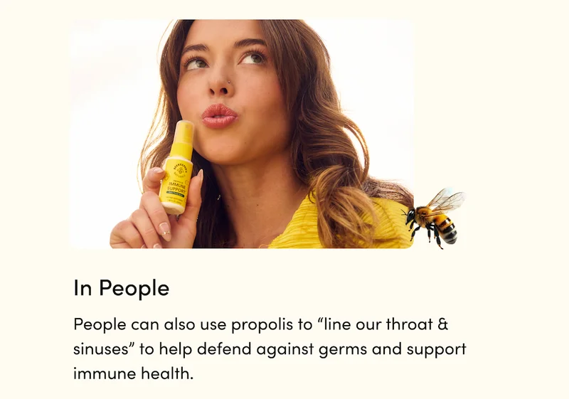 People can also use propolis to “line our throat & sinuses” to help defend against germs and support immune health.