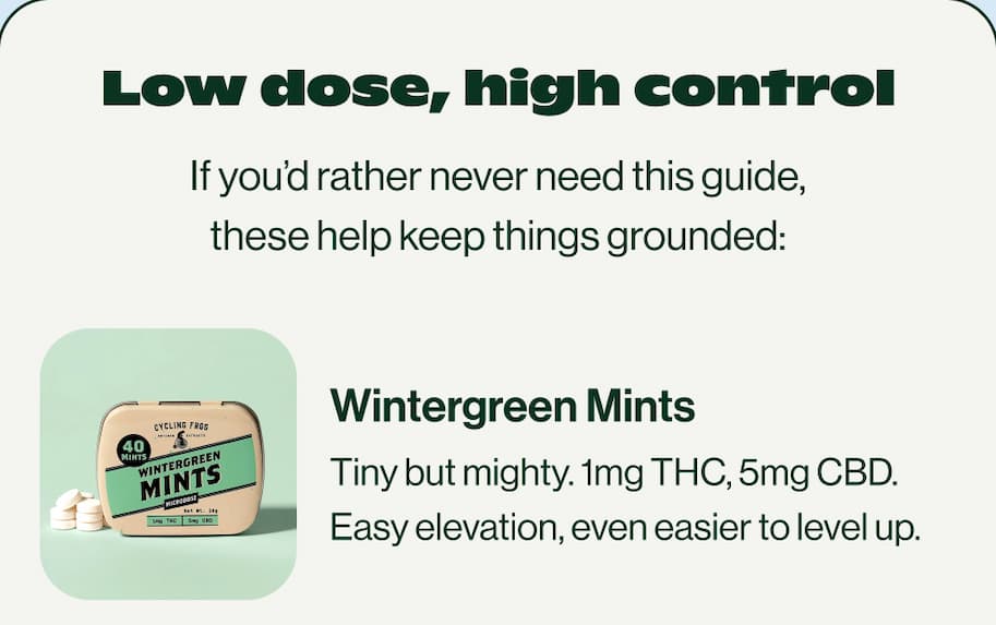 Wintergreen Mints