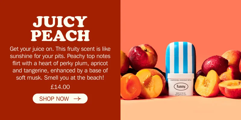 The British Seaside Collection