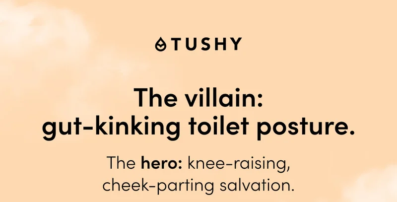 THE VILLIAN
