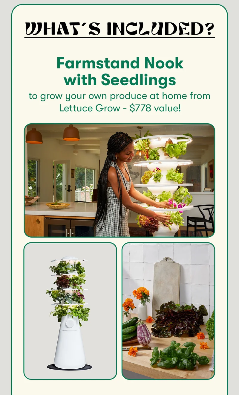 What's included? Farmstand nook with seedlings to grow your own produce at home from Lettuce Grow - $778 value!