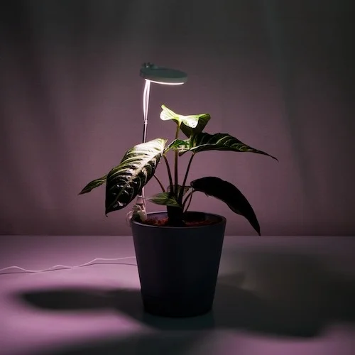 adjustable grow light
