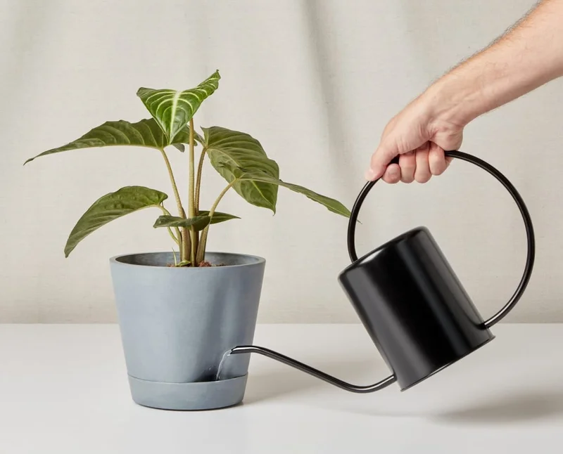 watering can