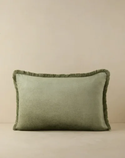 Shop Brandis Velvet Pillow