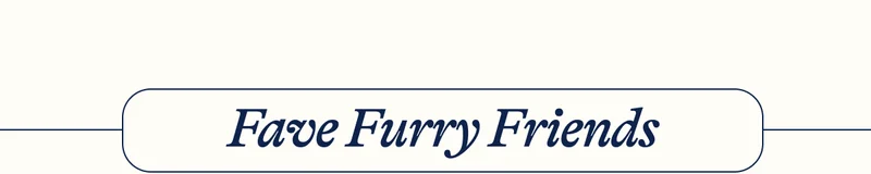 Fave Furry Friends