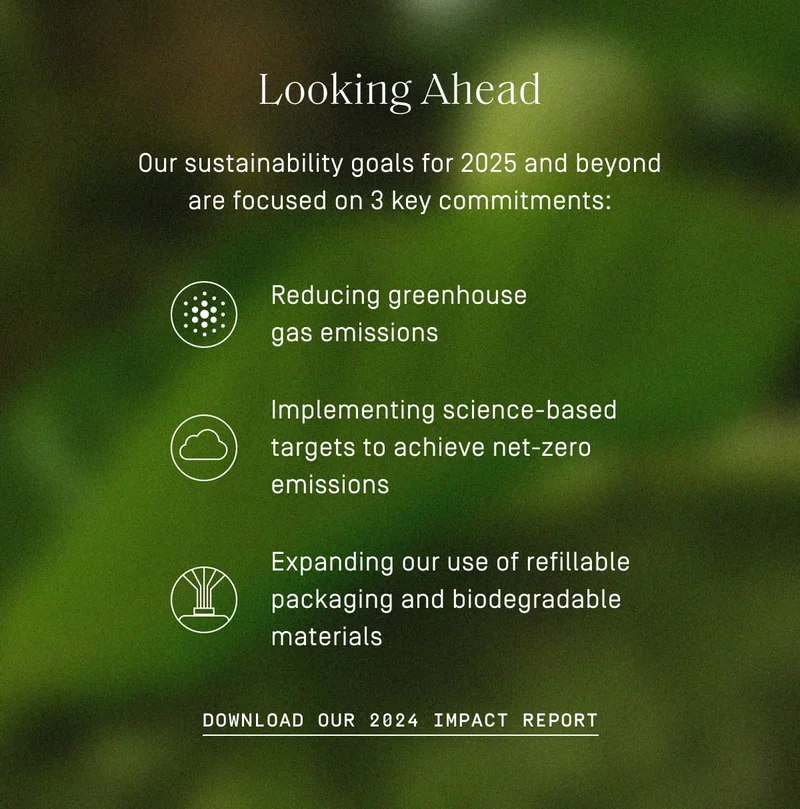 Download our social impact report