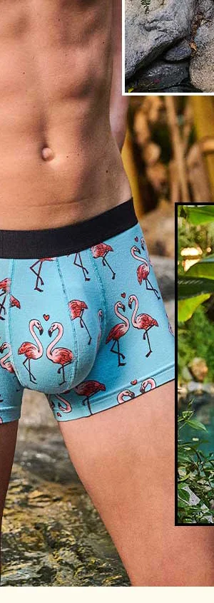 Trunk
