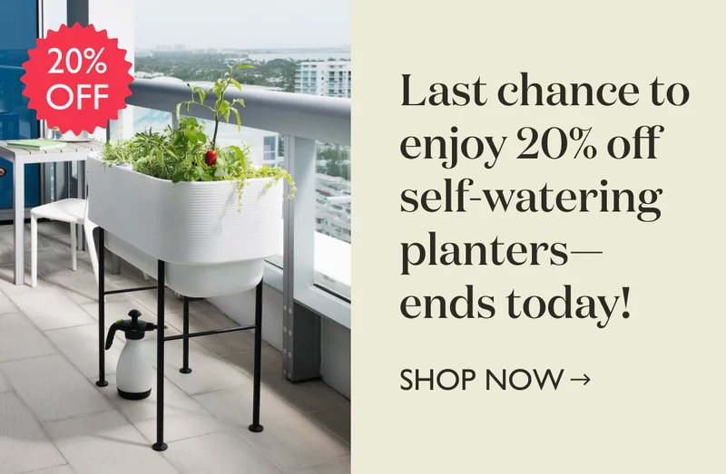 Last Chance: 20% Off Self Watering Planters